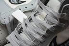 Air Jordan 1 High OG x Dior